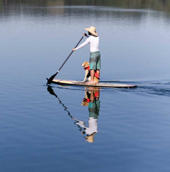 Segeln auf dem Tegernsee